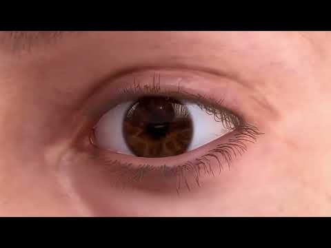 ADIM Showreel - Medikal 3D Animasyonlar